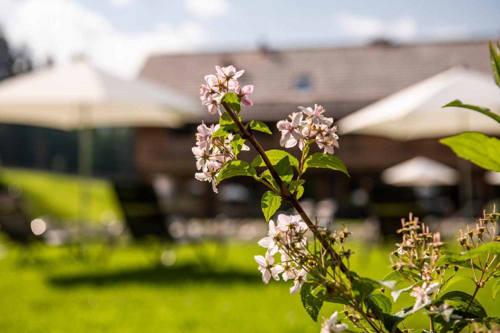 Lerchpeuntgut Alpenfreud Apartments Tamsweg Exteriér fotografie
