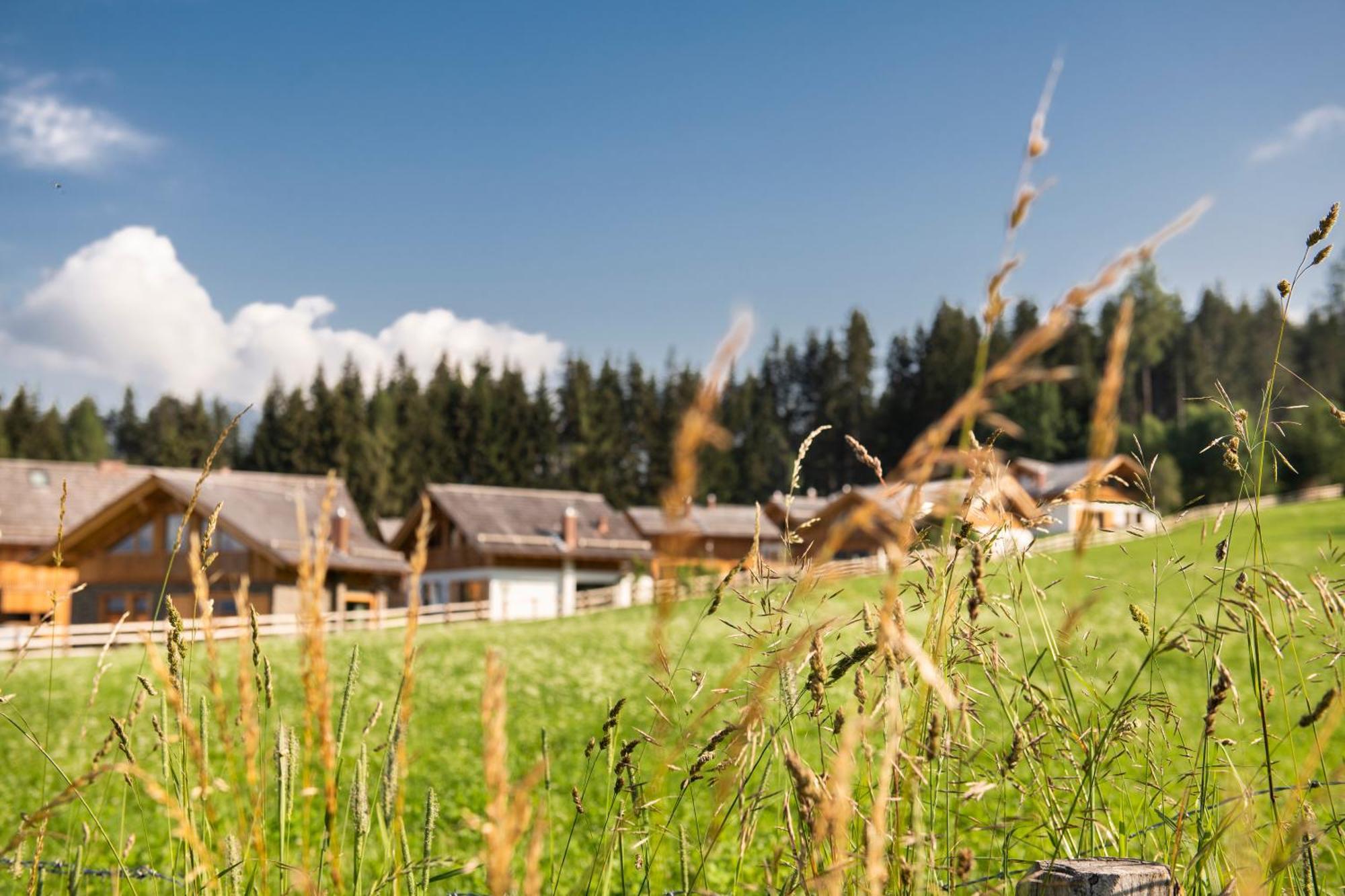 Lerchpeuntgut Alpenfreud Apartments Tamsweg Exteriér fotografie