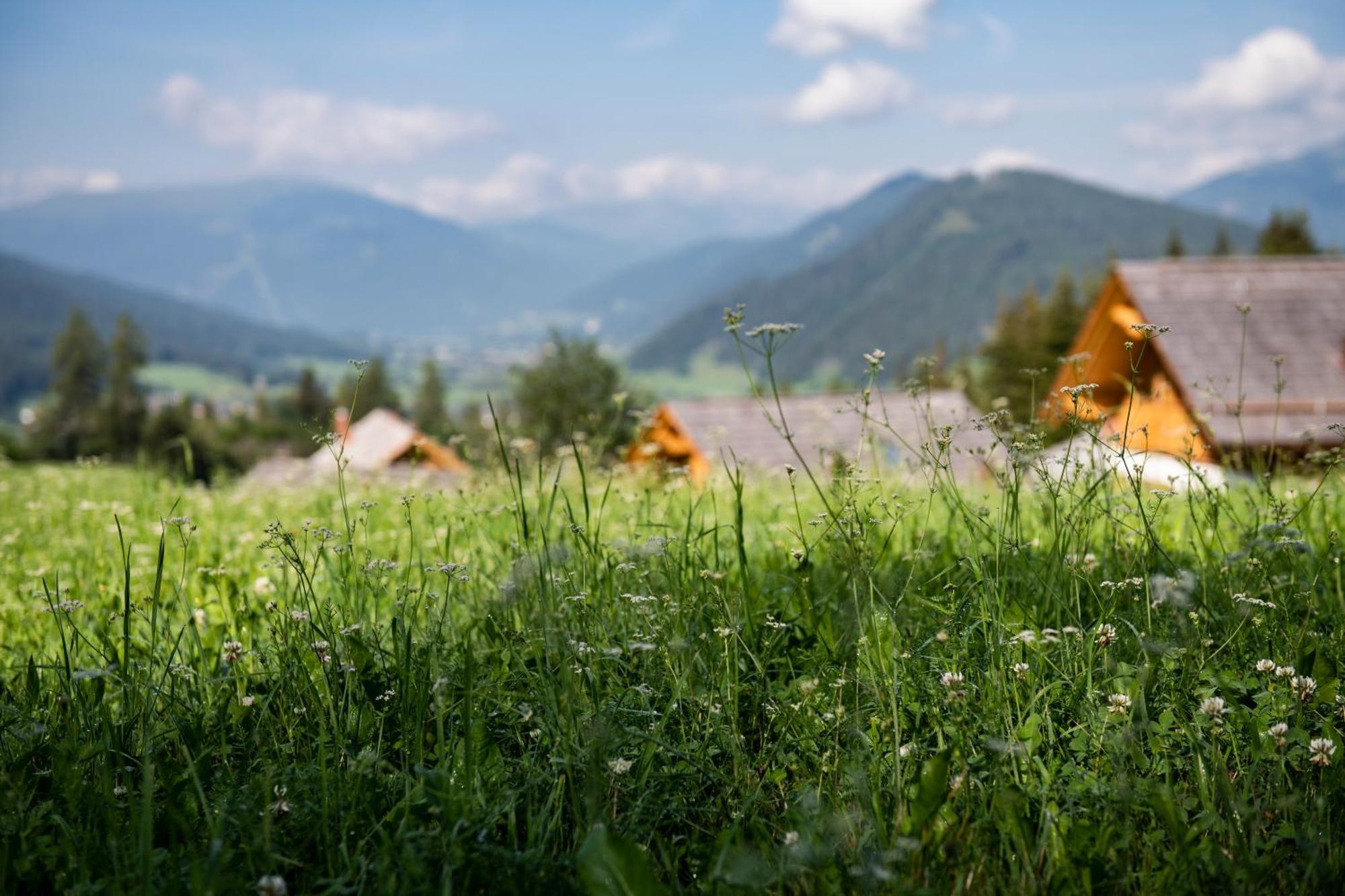 Lerchpeuntgut Alpenfreud Apartments Tamsweg Exteriér fotografie