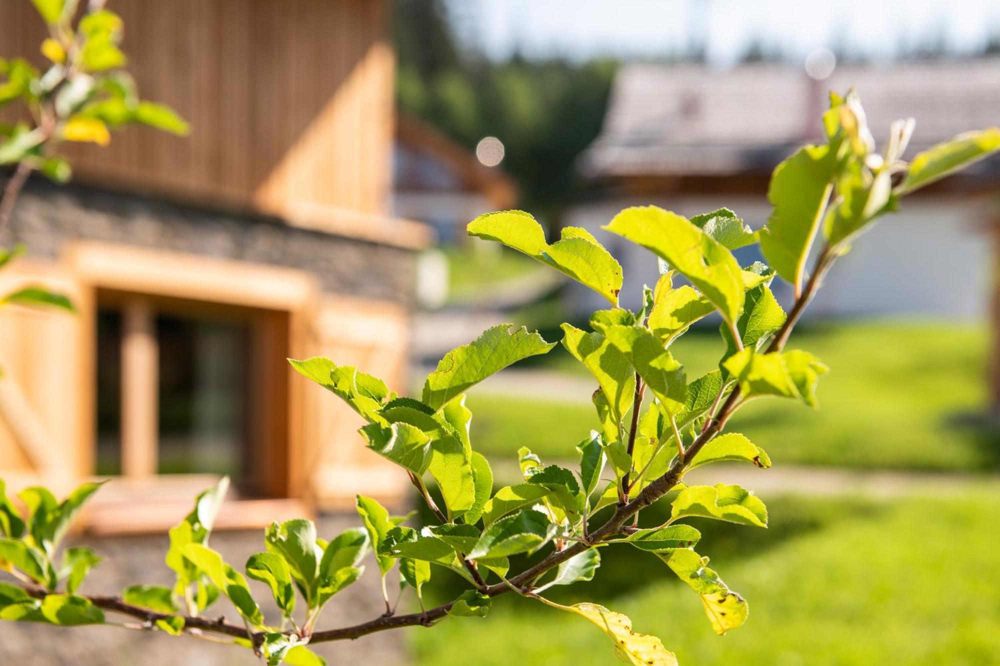 Lerchpeuntgut Alpenfreud Apartments Tamsweg Exteriér fotografie